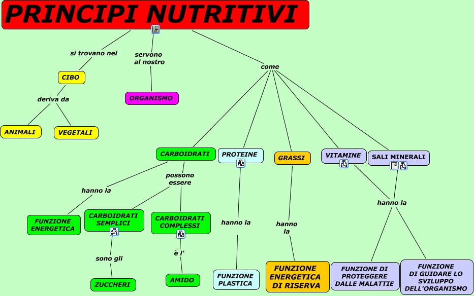 Che Cosa Sono I Principi Nutritivi